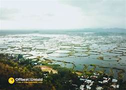 Loktak Lake Tour